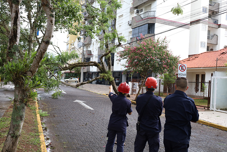 Os uga-bugas - GAZ - Notícias de Santa Cruz do Sul e Região