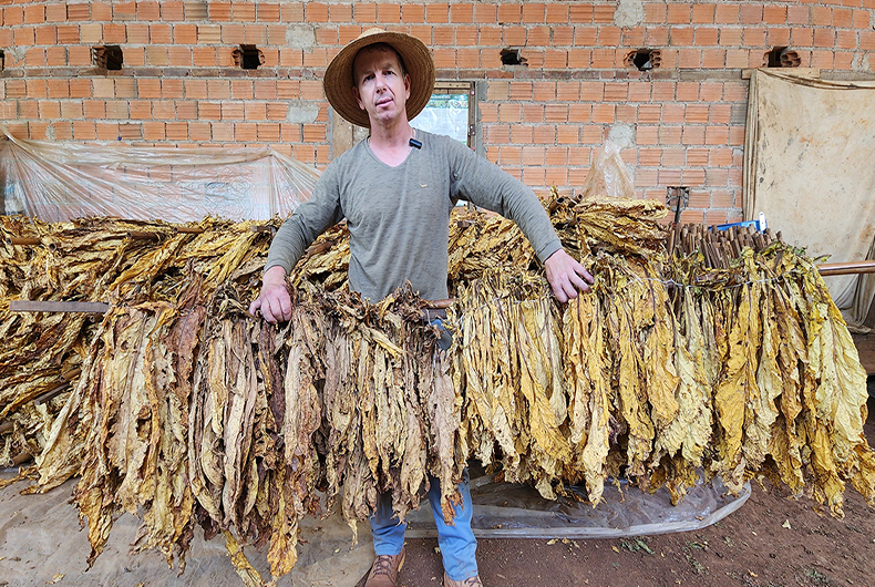 Por dentro da safra: reta final para o encerramento da colheita