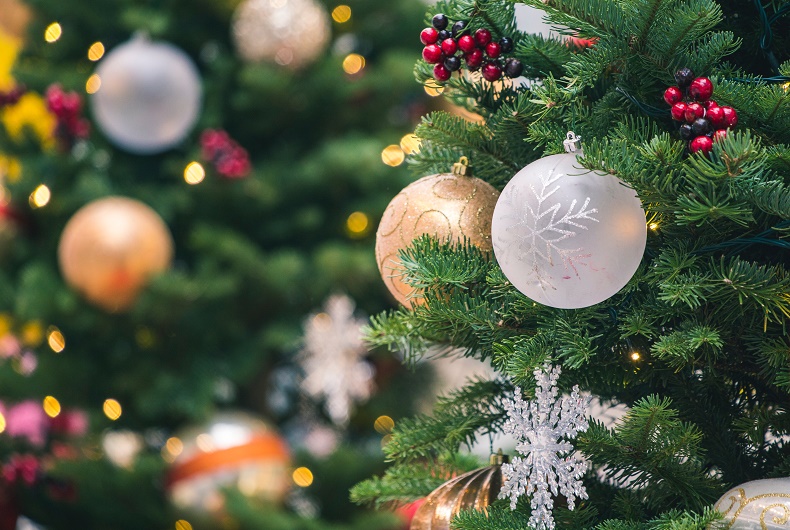 Quer ver a sua árvore de Natal na Gazeta? Saiba como participar