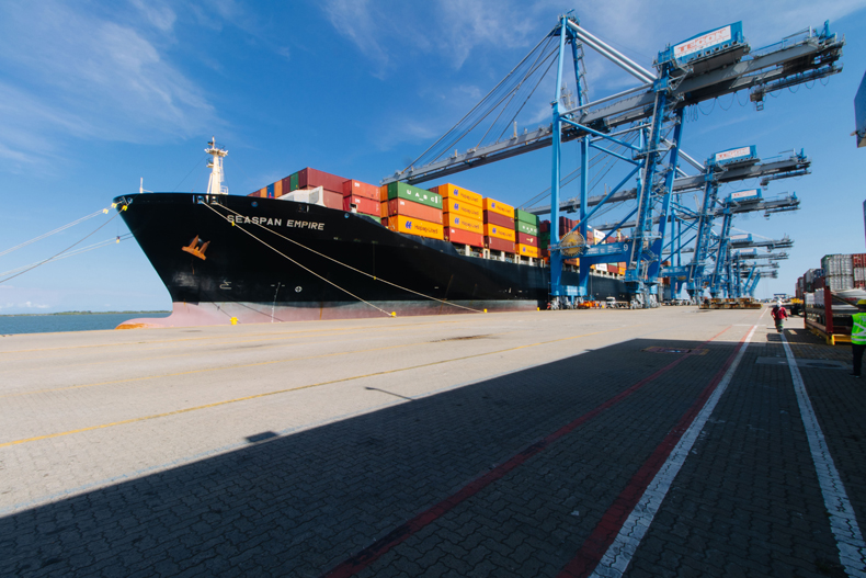 Exportações de tabaco apresentam aumento de 7,65% no primeiro semestre