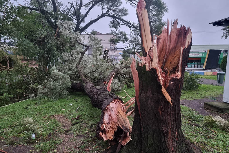 Oito municípios da região reportaram danos causados pelo temporal à Defesa Civil do Estado