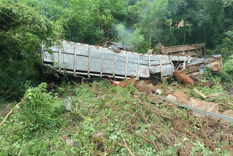 Caminhão com carga viva tomba na ERS-400