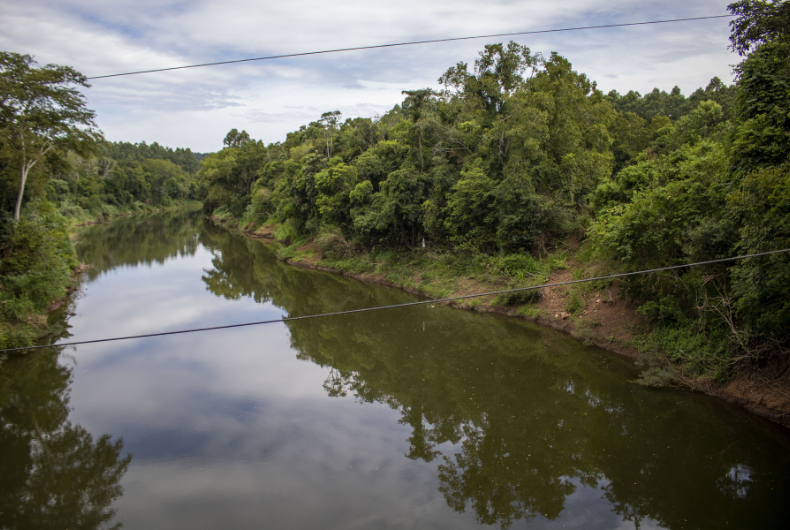 Comitê Pardo ampliará recuperação das margens do Rio Pardinho