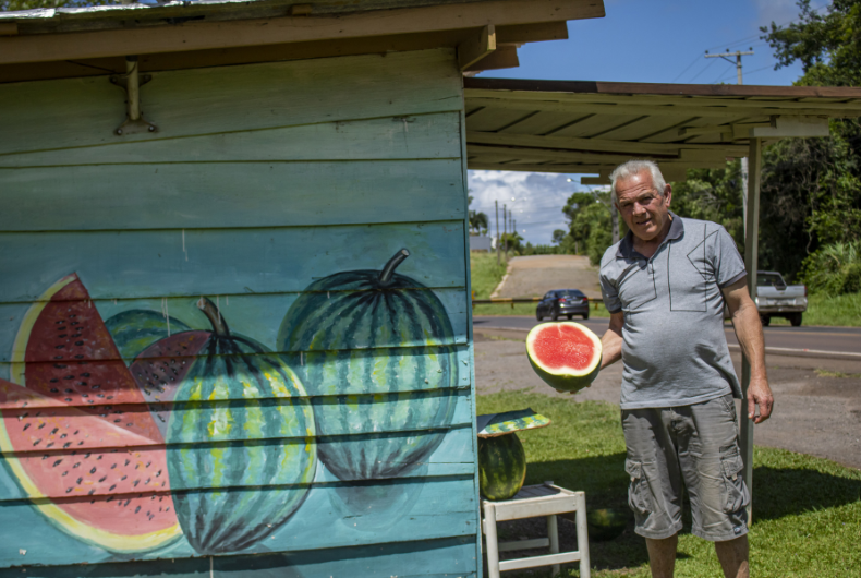 Excesso de chuva afetou a safra de melancias na região