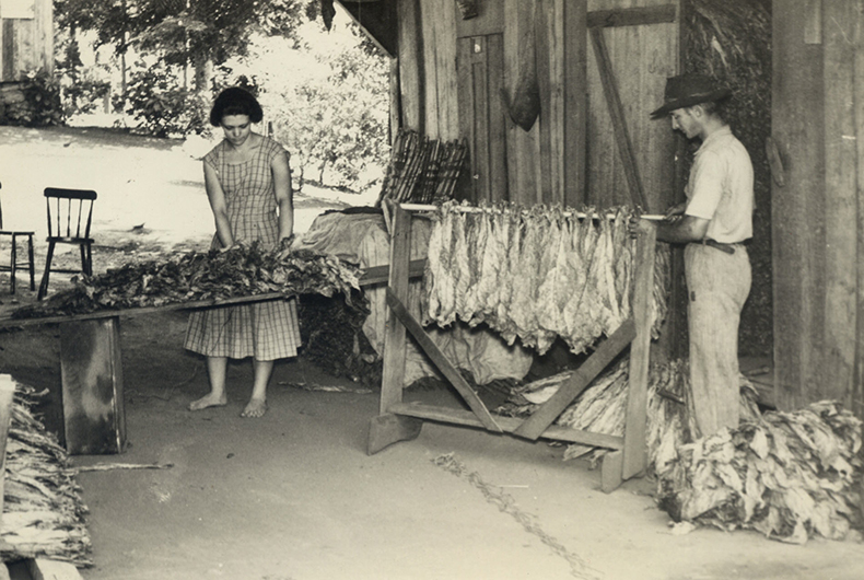 Bicentenário: o tabaco foi uma base econômica para as colônias
