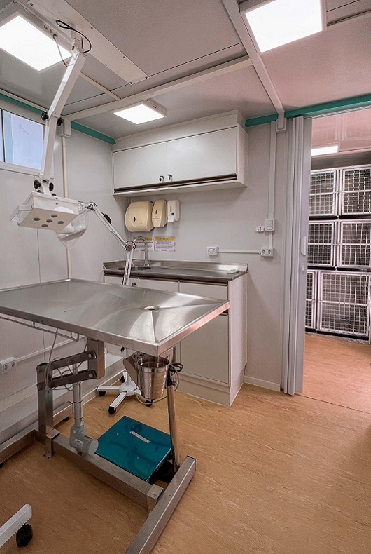 CastraPet - Santa Cruz do Sul - castração