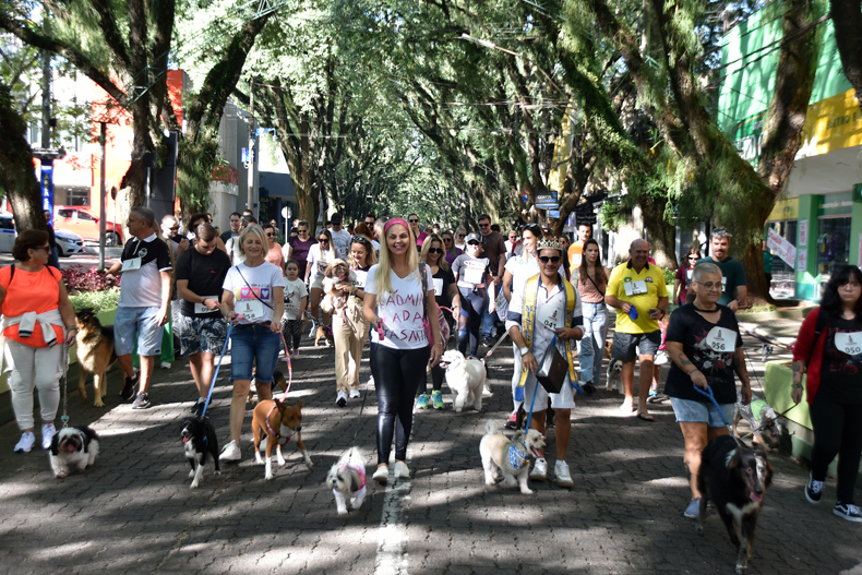 FOTOS: 1ª Cãominhada reúne pets e tutores no Centro de Santa Cruz