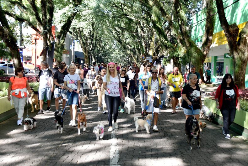 Cãominhada integra pets e tutores em Santa Cruz