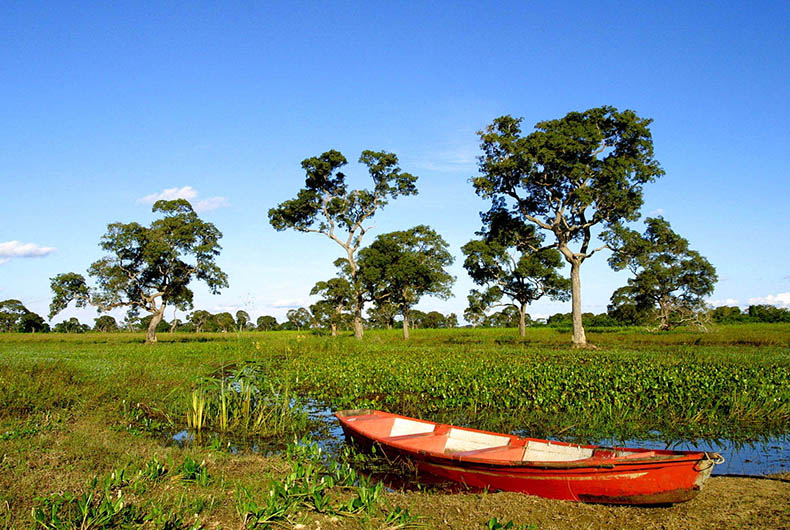 Pelo mundo: Pantanal, um dos maiores santuários ecológicos do planeta