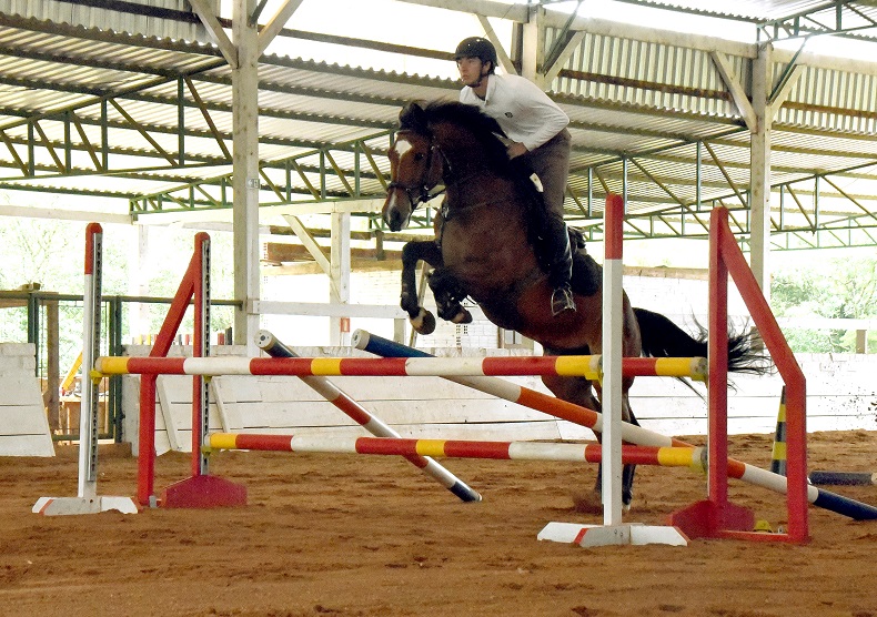 Cavaleiro realiza treinamentos com a égua Mulata, mas também conta com outros animais para orientar os seus alunos